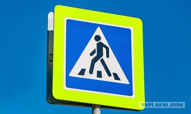 Директор школы в ХМАО написала заявление в полицию из-за косичек школьницы в цветах флага Украины
