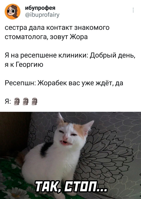 Картинки и мемы для настроения - 187