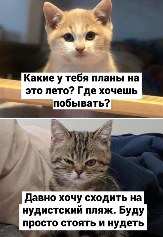 Картинки и мемы, всяко разно - 181