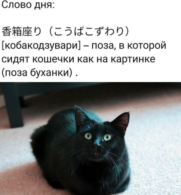 Забавные комментарии из социальных сетей (19.06.23)