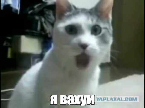 Не раздумывая прыгнул в воду