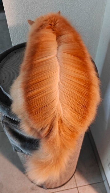 ФотоВинегрет