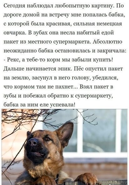 Веселые картинки к пятнице (11.10)