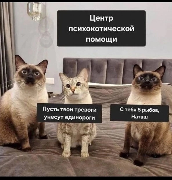 Картинки вечером в четверг