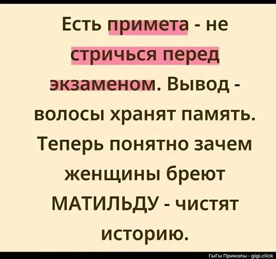 20746029.jpg