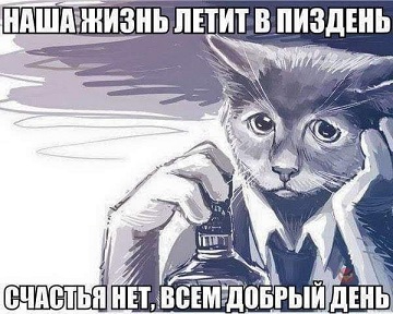 Илон Маск, ставший первым в истории человеком с состоянием в $852 млрд, согласился с тем, что счастье не купишь