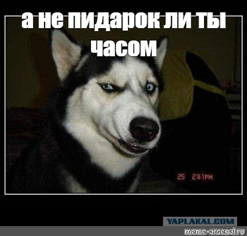 "Можно я здесь мальчика отпетушу?..."