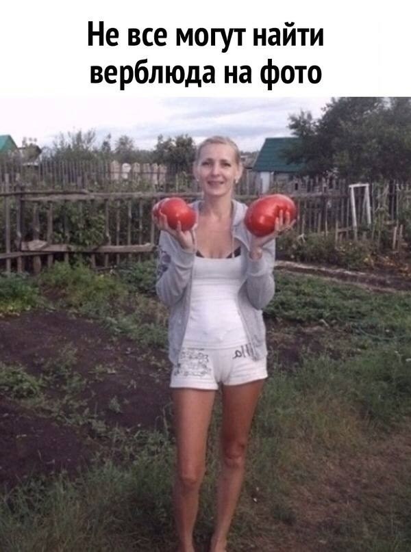 Вторника картинки