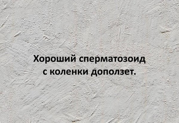 Погнали, пацаны!