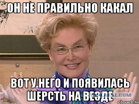 Чувак купил "канадского сфинкса"