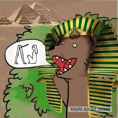 Не растерялась!