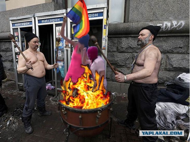 Курицы решили отомстить Pussy Riot