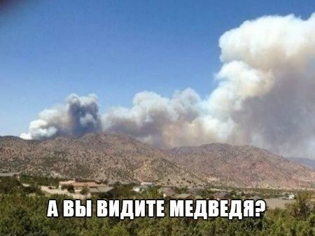 Смешные картинки