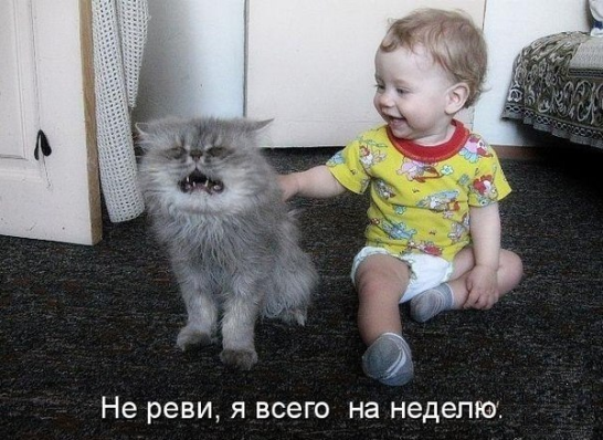 Да что вы знаете о безысходности.