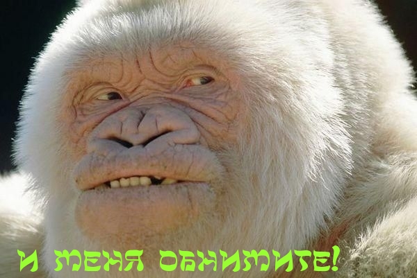 Чёрт, чёрт, чёрт!