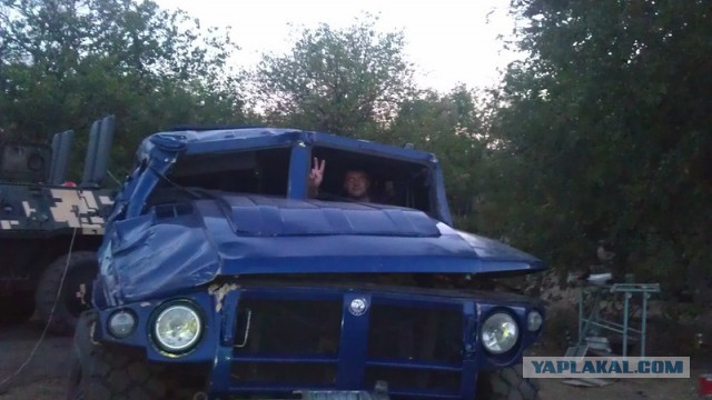 "Тигр" Жириновского