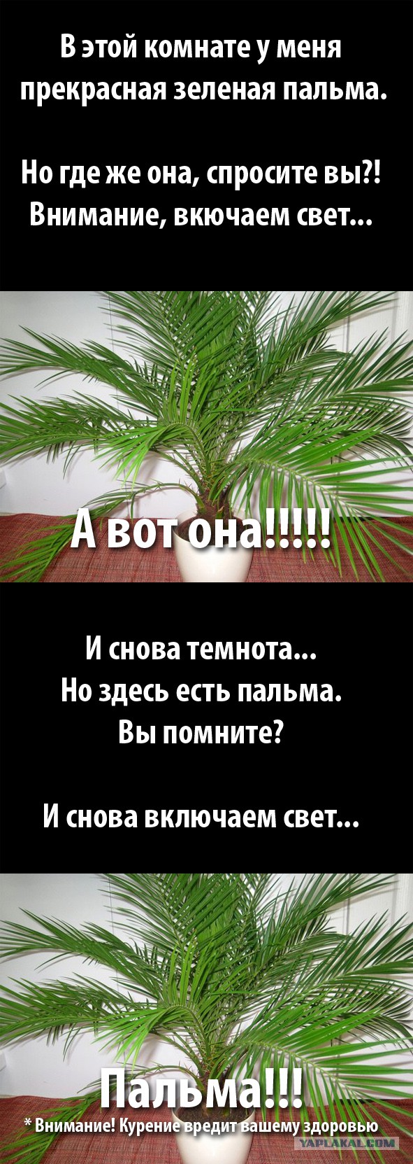Всем зеленки!