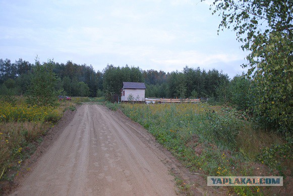 Как мы дачу запилили