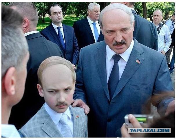Яблоко от яблони