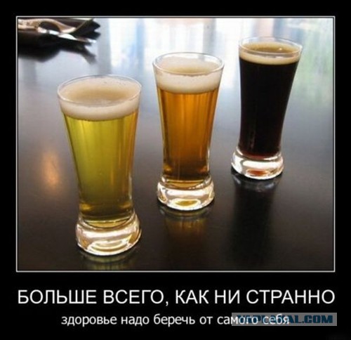 Весёлое из сети