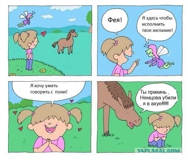 Операция "Немцов" прошла успешно