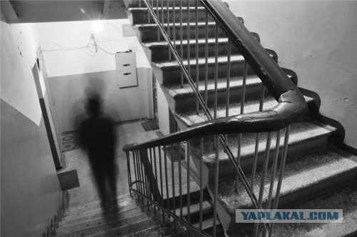 10 жертв равнодушия