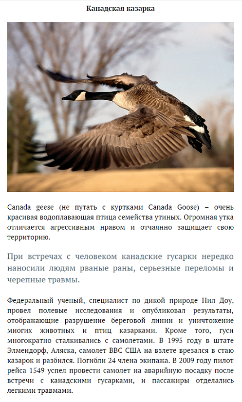 Вот и поговорили