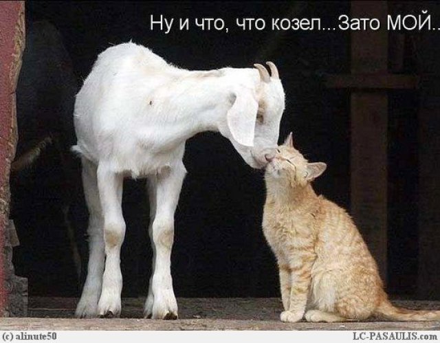 Любовь зла