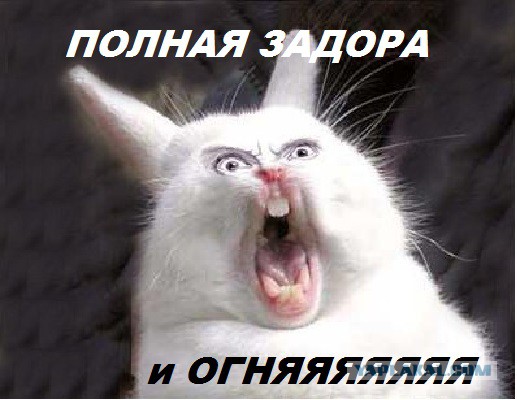 Это фото даже жабить не надо