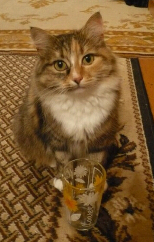 Пари