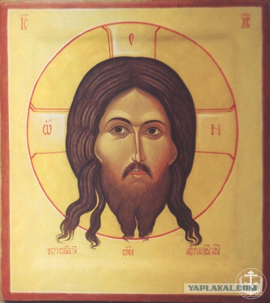 Анатомия Бога