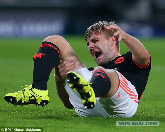 Champions League Сезон 2015/2016