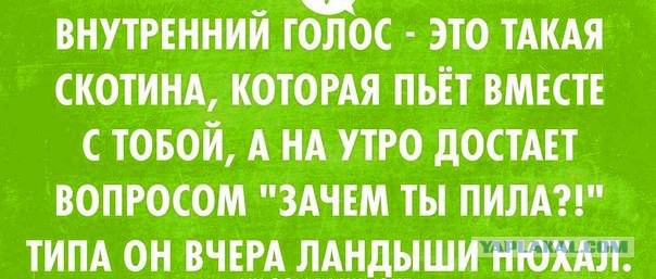 Картинки на пятницу