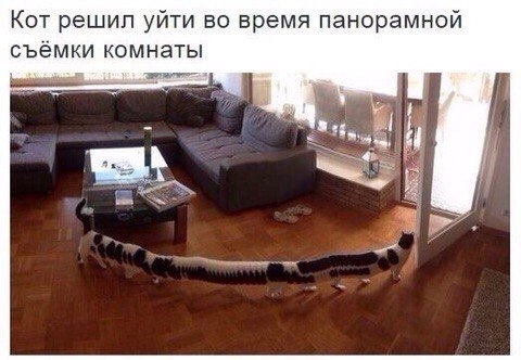 Картинки и демотиваторы