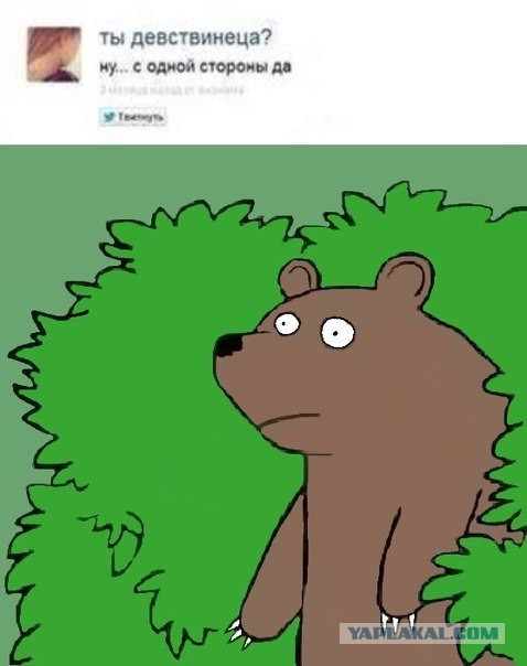 Непорочное зачатие
