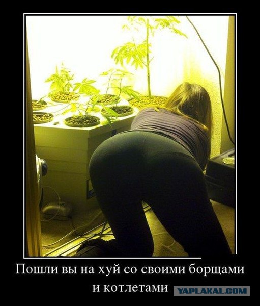 О ремонте бытовой аппаратуры