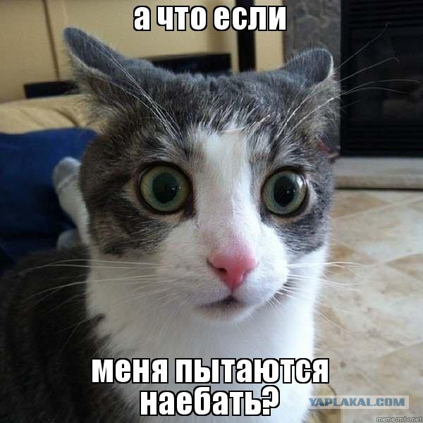 Подлая подмена