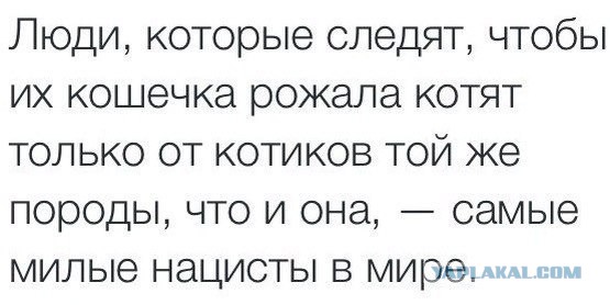 Смешные комментарии из социальных сетей 05.02.2016