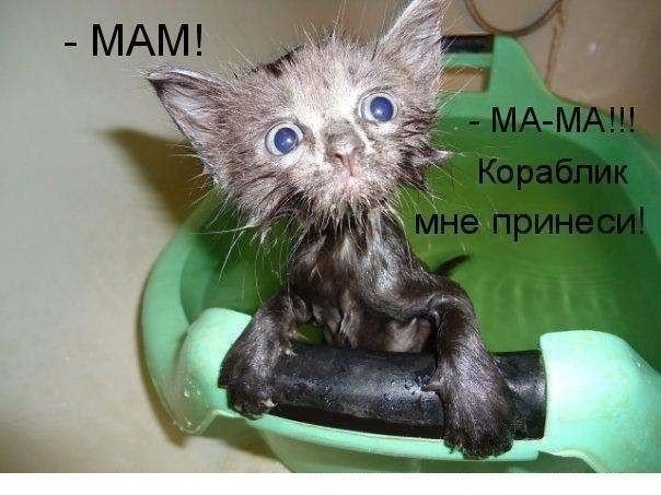 Злые шутки или минутка сарказма на ЯП-е, 16+