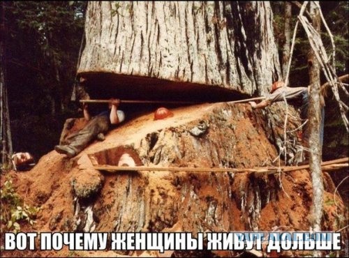 Абсурдный юмор ч.7