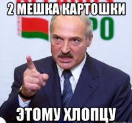 Я веган, чувствую себя замечательно ©