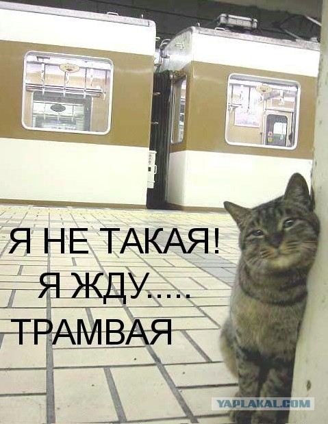 Девочки, не надо этого делать!