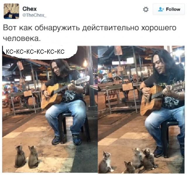 18 фотографий, которые сделают ваш день чуточку счастливее!