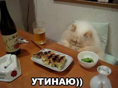 Прикольные животные