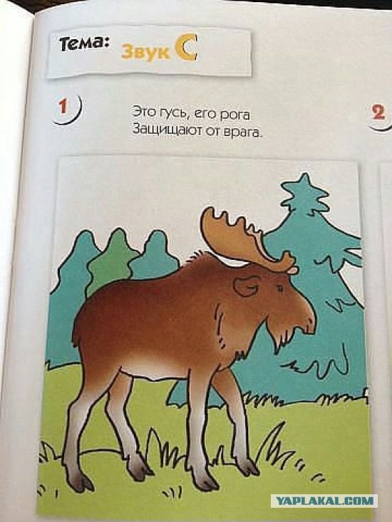 Сборище абсурда