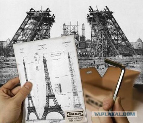 Прикольные и веселые картинки