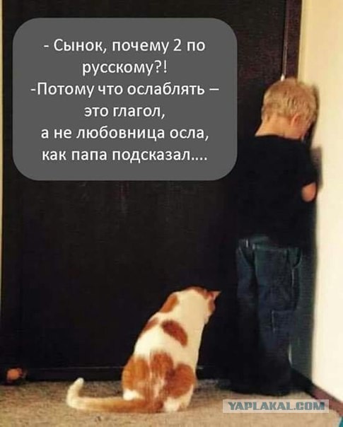 20 Смешных пикч