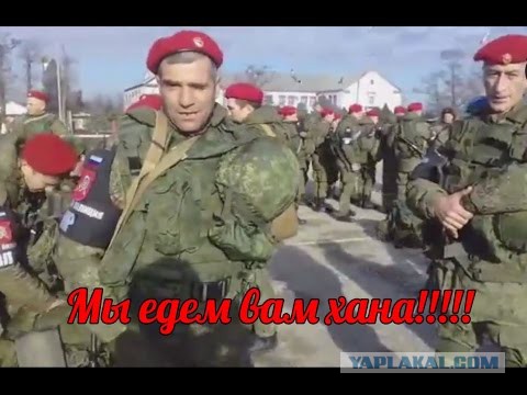 «Пожалуйста, пришлите российскую полицию в Париж. Он превратился в гетто и полон мигрантов, мусульман и негров»