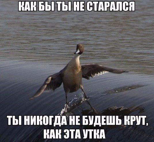 Картинки всякие разные