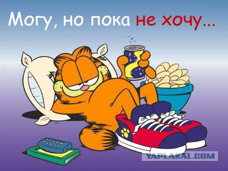 Знак ЯП готофф